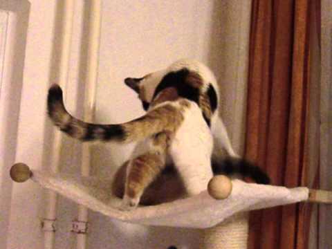 Mariluz + Ventisca 3