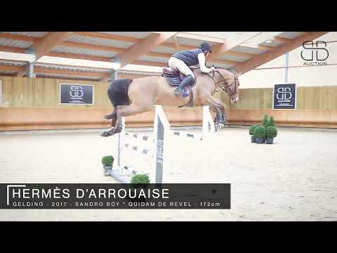 HERMÈS D’ARROUAISE