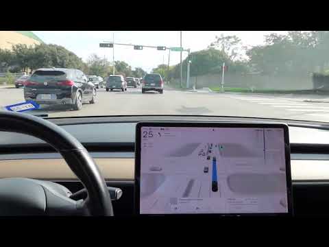 2022 Tesla Model 3 Walkaround & Self-Driving Test | Auto Parking (AI vs Dallas maverick Drivers!)