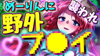 【ゆっくり茶番】美鈴に野外で押し倒されてしまって・・・