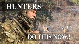 Don’t Climb Until You Check This! Treestand Safety Tips Every Hunter Should Know