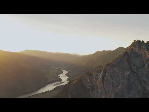 Ardie Son - Run with the Wolves