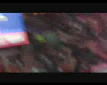 PSG - Bastia (2-1) 8émes de finale Coupe de France 07/08