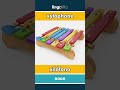 xylophone - xilófono video thumbnail