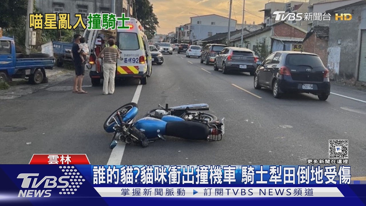 影音/貓咪衝出撞機車!騎士倒地四肢傷 母願賠貓網猜「釣魚」