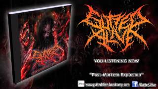 Gutted Alive - Post Mortem Explosion (NEW SONG 2015/HD) [CDN RECORDS]