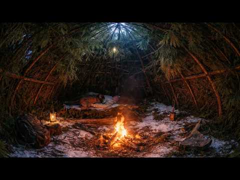 Building a Warm Shelter — 3 Days of Survival at -18°C