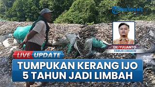 5 Tahun Terbengkalai! Penampakan Gunungan Limbah Kerang Ijo di Cirebon, Jalan Menyempit dan Bau