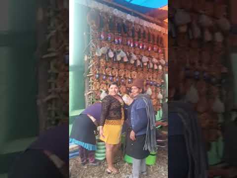 Fiesta en Pampas Áreas Villa Serrano Chuquisaca Bolivia 🇧🇴 El Ligador TV