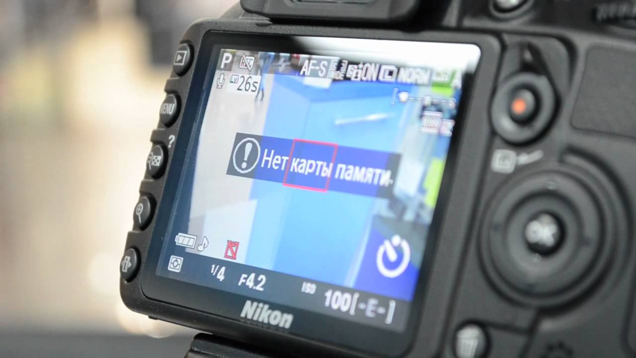 Зеркальный фотоаппарат Nikon D3100 Kit 18-55 VR красный