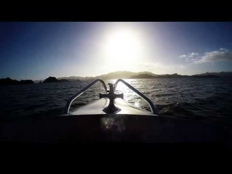 SCHOOL OF KINGFISH | CANTERBURY WRECK [1080p]