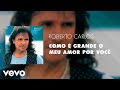 Roberto Carlos - Como é Grande o Meu Amor por Você (Áudio Oficial)