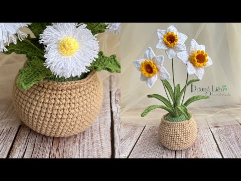 Chậu tròn lớn