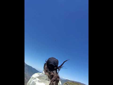 cóndor avistaje cachi. #cóndor #cachi #salta