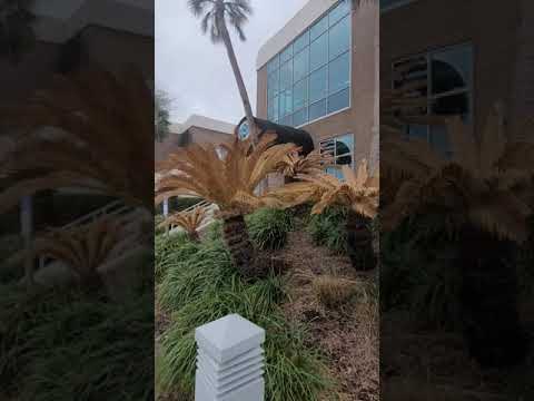 South Shore Harbour Resort near Kemah Boardwalk