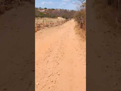às lindas paisagens do sertão,, zona rural de Tavares PB!