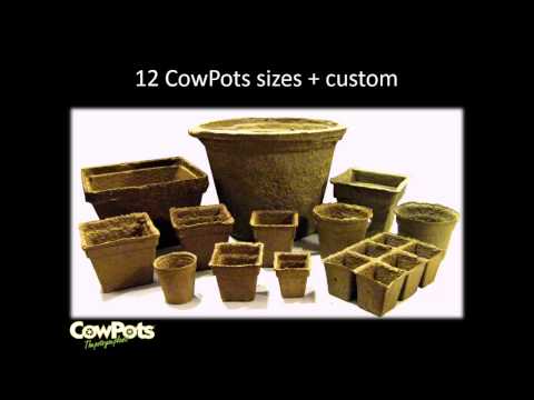 download lagu mp3 mp4 Dairy Garden Pots, download lagu Dairy Garden Pots gratis, unduh video klip Dairy Garden Pots