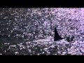 Keiko Matsui - Flowers Of the Sea / Gregorian ...