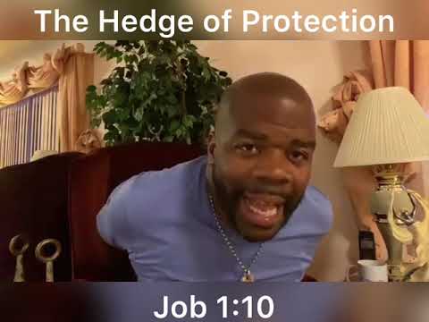 The Hedge of Protection (Job 1:10) #doctorpulley
