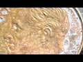 Missing Clad Dime FOUND in PENNY ROLL¡