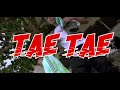 Tae Tae Not Too Late
