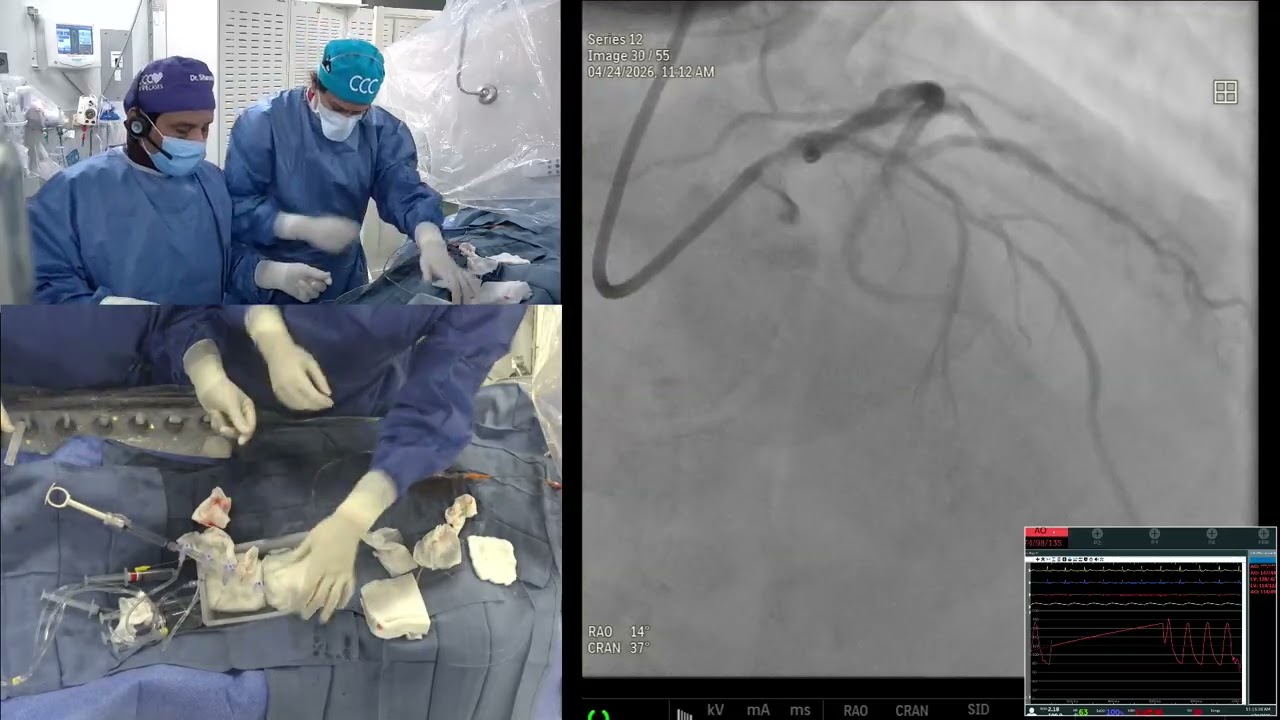 CCC | Learn From The Masters | April 2026