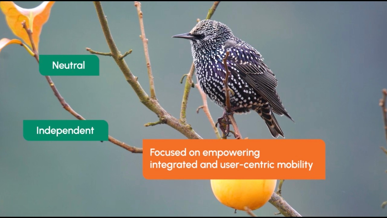 Mobility Alliance Presentation video