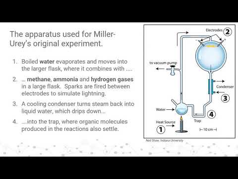 IB DP Biology Topic 1: Cell biology 1.5 U2The origin of cells