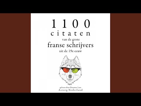 Chapter 2.13 & Chapter 3.1 - 1100 citaten van de grote Franse schrijvers uit de 19e eeuw