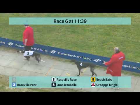 Crayford Races on Saturday 18th February 2023 - Golden Jacket Final