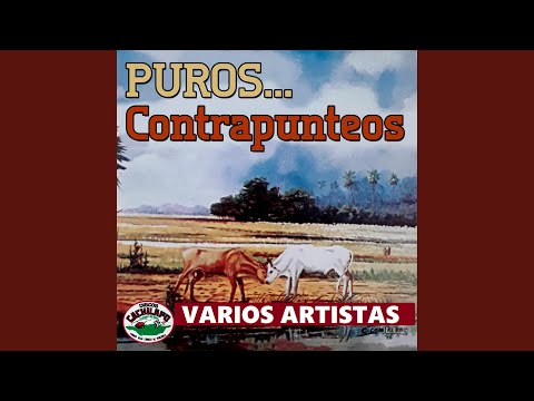 Dos copleros frente a frente