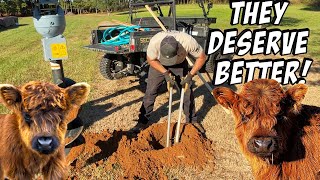 Building the ULTIMATE Highland Cow Fence With This New Machine!