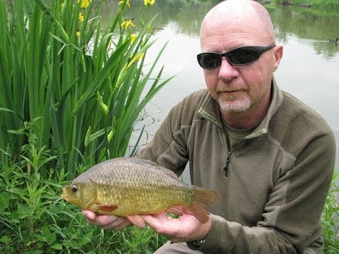 Crucian Hunt