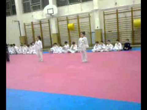 diplomat ne karate kata 010