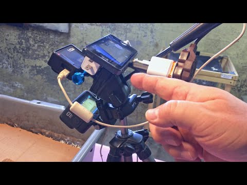 101-day *NOT Recovery* worm bin (my original population) - vermicompost