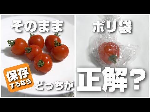 トマトを正しく保存する: 最良のヒント 植物