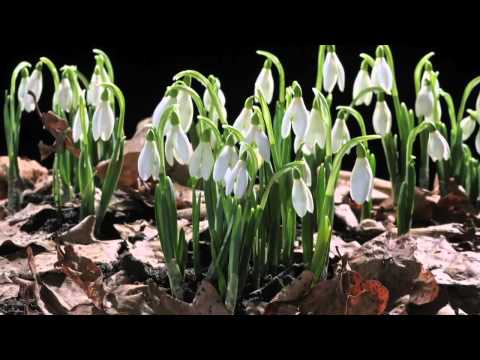 RYTMY NATURY W DOLINIE BARYCZY PRZEDWIOŚNIE