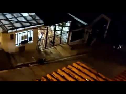 Dios que pare la orden de matar