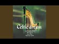 Planxty Irish - Carrantuohill Celtic Music Group - Topic Planxty Irish