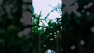 Download lagu video Satria Fu hujan 😇 mp3 Download lagu video Satria Fu hujan 😇 mp3