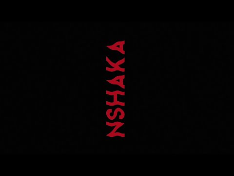 Pro Zed - Nshaka feat. Ish Kevin (Official visualizer)