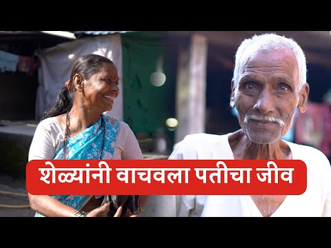 Annakshetra & Pilgrim Welfare