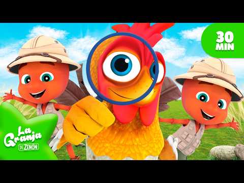 La Pulga | ¡Cuidado con la Pulga! Aventuras en la Granja 🌈@LaGranjaDeZenon  | El Reino Infantil
