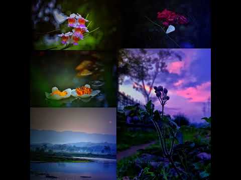 Sannidhya Bhuyan x Aarxslan - Mouxona || WhatsApp status video