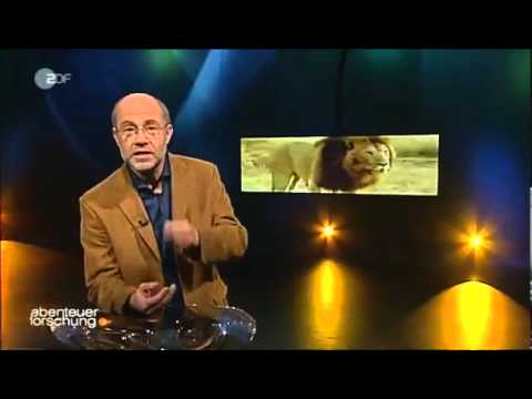 Die Schönheitsfalle - Wenn Attraktivität zum Verhängnis wird - Abenteuer Forschung Teil 2