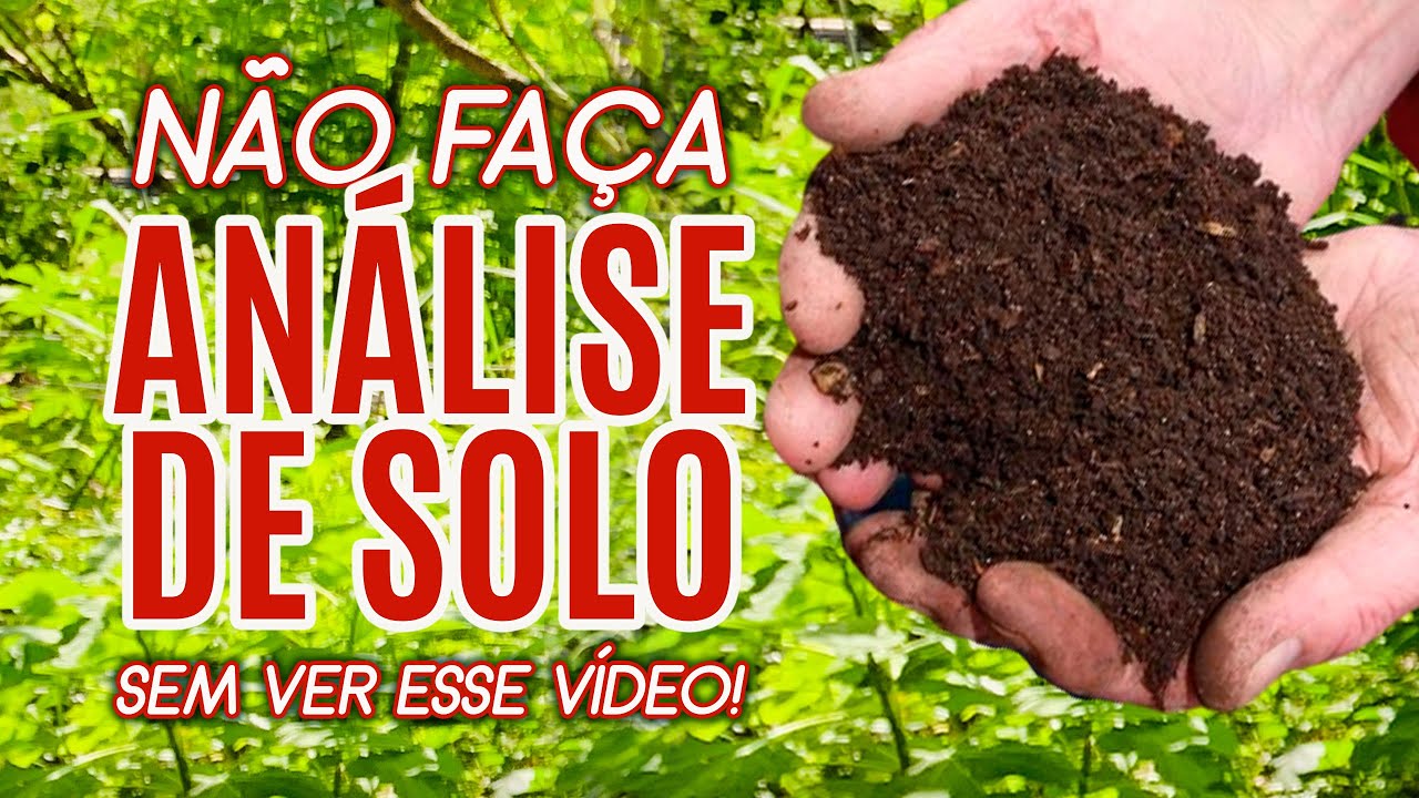 Não faça análise de solo sem ver este vídeo | Projeto do cacau