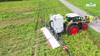 Kartoffel-Sikkation mit Strom