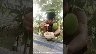 Download lagu Random Banget! Awalnya Penuh Hikmat Makan Mangga di Atas Genteng, Berujung Hilang Dari Pandangan mp3 Download lagu Random Banget! Awalnya Penuh Hikmat Makan Mangga di Atas Genteng, Berujung Hilang Dari Pandangan mp3
