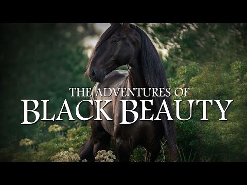THE ADVENTURES OF BLACK BEAUTY - Galloping Home By Denis King | ITV