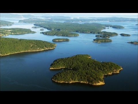 Inside the Pig War of 1859